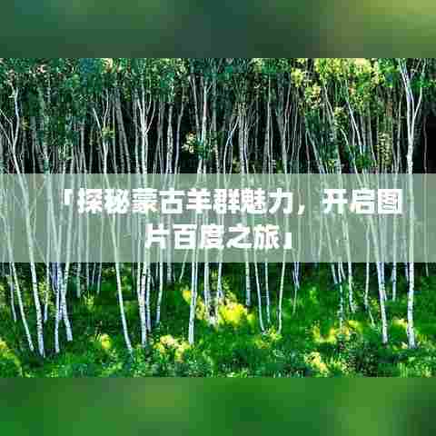 「探秘蒙古羊群魅力，开启图片百度之旅」