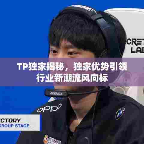 TP独家揭秘，独家优势引领行业新潮流风向标