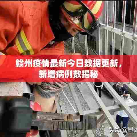 赣州疫情最新今日数据更新，新增病例数揭秘