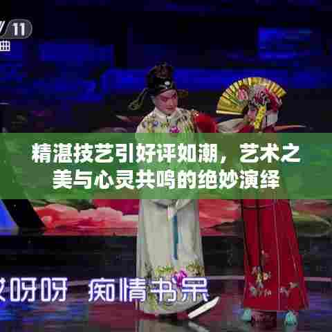 精湛技艺引好评如潮，艺术之美与心灵共鸣的绝妙演绎