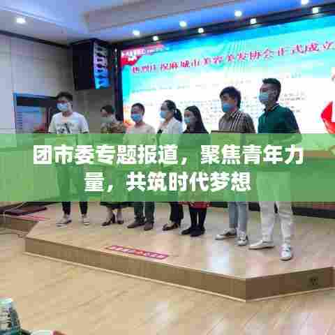 团市委专题报道,聚焦青年力量,共筑时代梦想