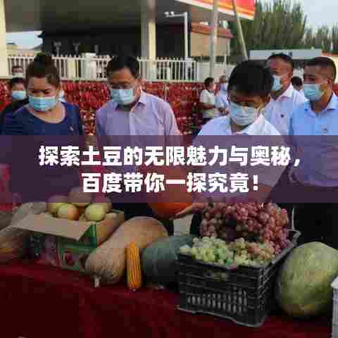 探索土豆的无限魅力与奥秘,百度带你一探究竟!