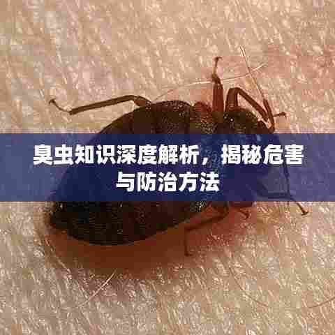 事必躬亲 第5页