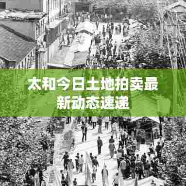 太和今日土地拍卖最新动态速递