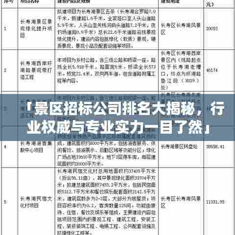 「景区招标公司排名大揭秘，行业权威与专业实力一目了然」
