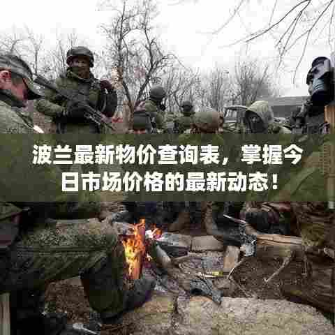 波兰最新物价查询表，掌握今日市场价格的最新动态！