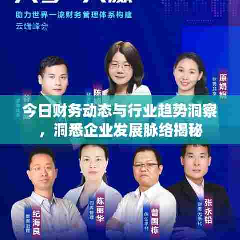 今日财务动态与行业趋势洞察，洞悉企业发展脉络揭秘