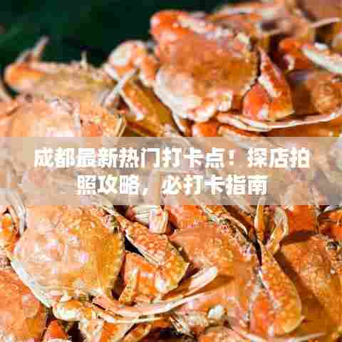 成都最新热门打卡点!探店拍照攻略,必打卡指南