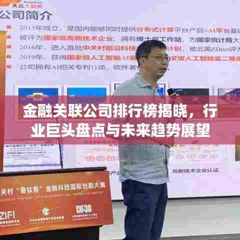 金融关联公司排行榜揭晓,行业巨头盘点与未来趋势展望