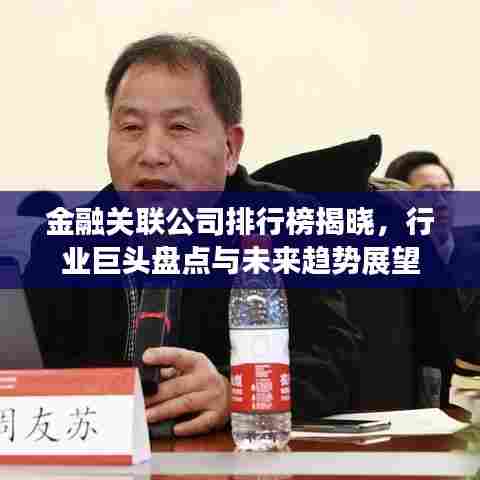 金融关联公司排行榜揭晓,行业巨头盘点与未来趋势展望