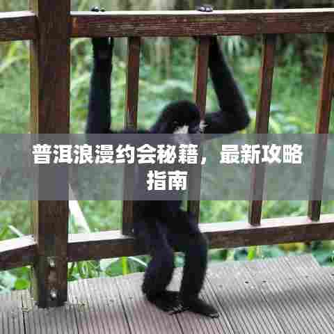 普洱浪漫约会秘籍，最新攻略指南