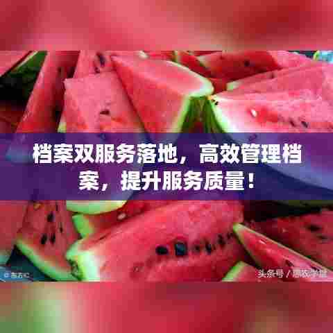 档案双服务落地，高效管理档案，提升服务质量！