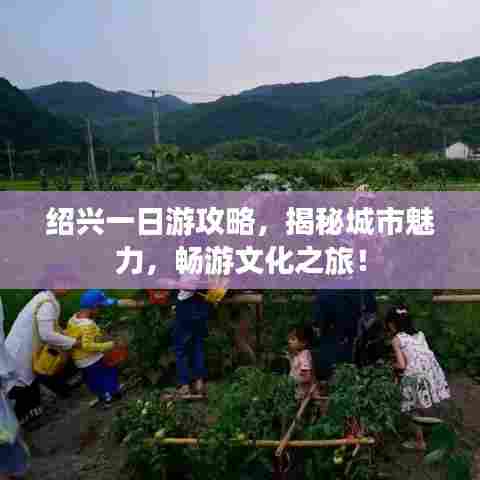 绍兴一日游攻略,揭秘城市魅力,畅游文化之旅!
