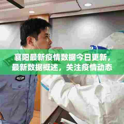 襄阳最新疫情数据今日更新，最新数据概述，关注疫情动态