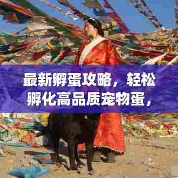 最新孵蛋攻略，轻松孵化高品质宠物蛋，让你的起源之旅更精彩！