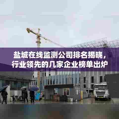 盐城在线监测公司排名揭晓，行业领先的几家企业榜单出炉！