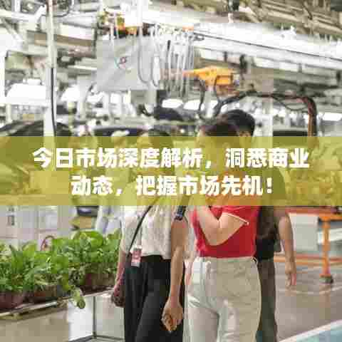 今日市场深度解析,洞悉商业动态,把握市场先机!