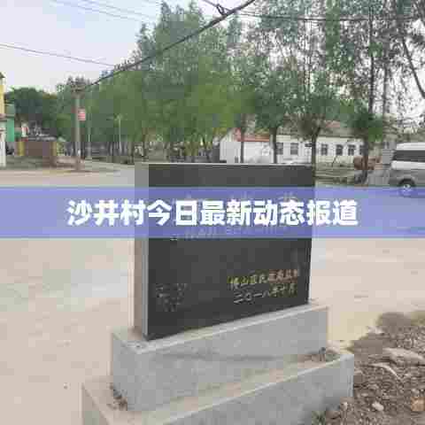 沙井村今日最新动态报道