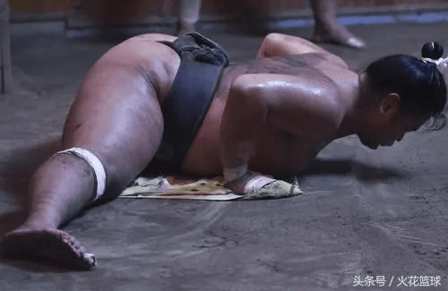 相扑人官方下载,体验专业级软件体验