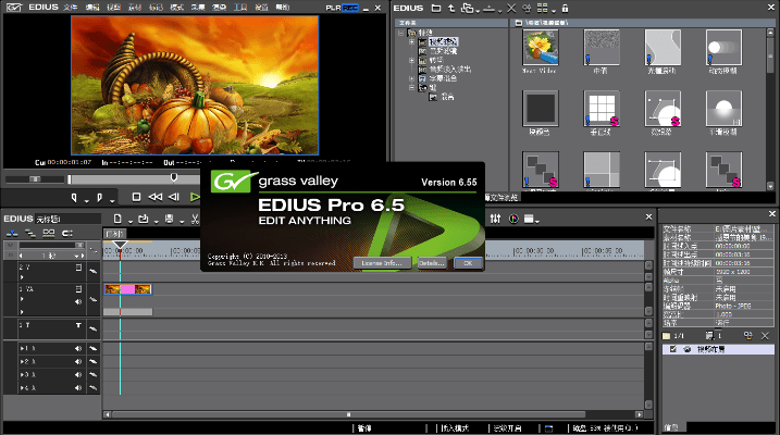 edius官方下载,高效设计策略|Surface_v10.346