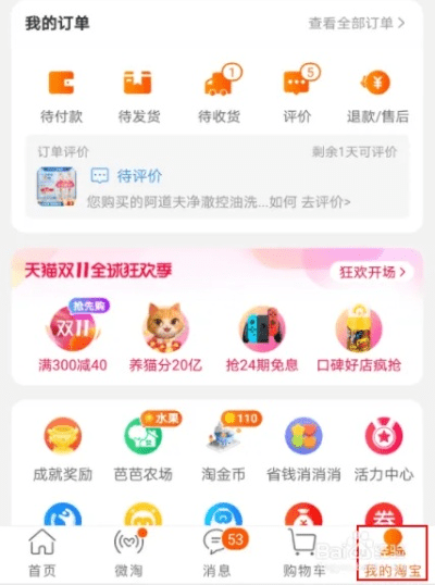 淘宝官方免费下载安装,灵活性方案解析-经典版_v7.161