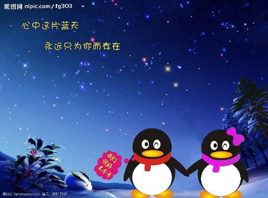 专业级工具推荐，qq伴侣官方下载，综合解答解释定义_标配版_v7.620