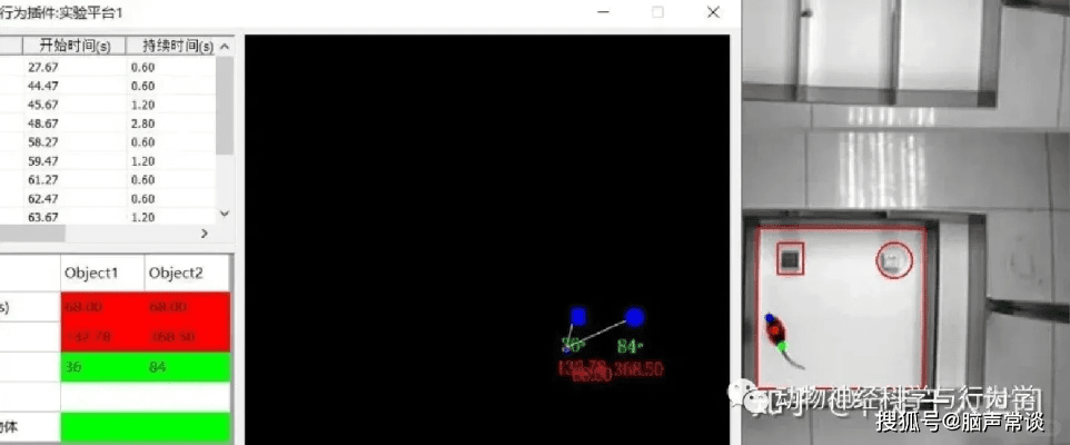 官方升级包下载，专业级工具XR1_v5.126的实地验证数据分析介绍
