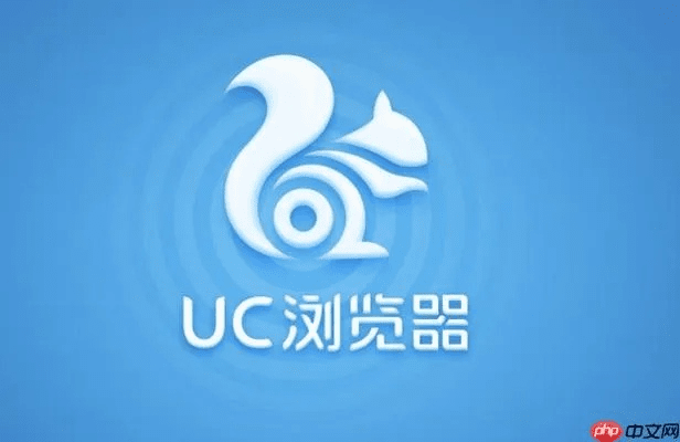 uc能缓存的版本,数据导向设计方案_顶级版_v6.669