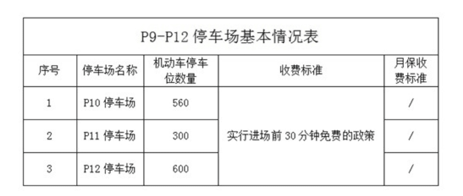 停车场旧版本,现状解答解释定义_P版_v7.740