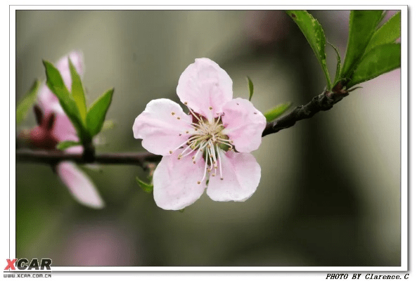 鸟语蝉鸣 第5页