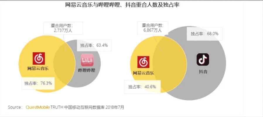 网易云音乐低版本,科学评估解析_AP_v5.963