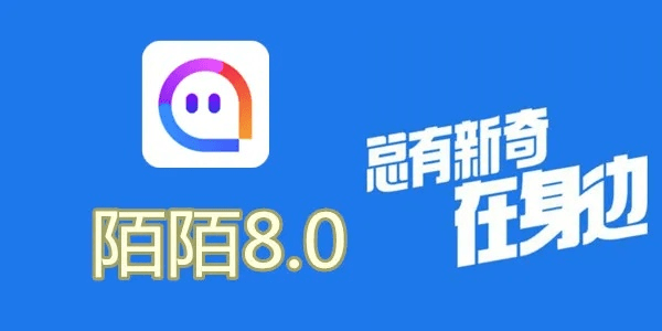 陌陌7.6.3版本,实践验证解释定义_精英款_v5.289