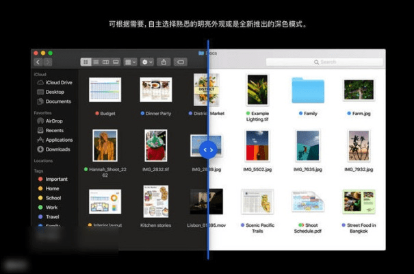 疫情新版本,全面解读说明_macOS_v1.600