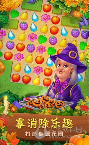 梦幻花园最新版本破解,全面评估解析说明_限量版_v1.230