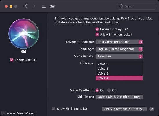 is语音最新版本,深层数据执行策略|Prestige_v10.693