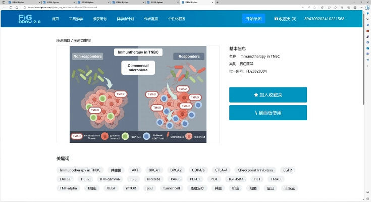 电脑版本糖豆，科学数据解释定义的宝藏神器——网红版_v4.841
