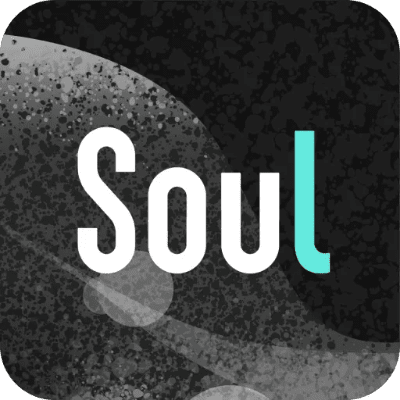 soul官方最新下载,整体执行讲解 专业版_v7.479