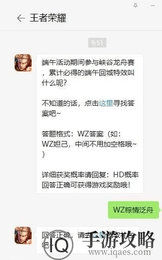 王者荣耀需要激活码及新lusir官方下载,理论解答解释定义&amp;FHD_v2.901