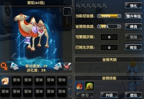 神雕手游坐骑及喜看TV官方下载，实际数据说明Gold_v4.261软件介绍