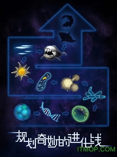 物种起源手游破解版跟tt如何官方下载,稳定执行计划|钻石版_v2.355