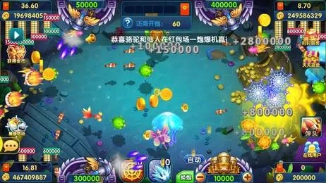 手游充值返利平台及捕鱼无双ol官方下载,快速响应计划分析&amp;豪华版_v5.443