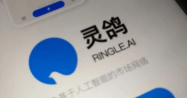 灵鸽的激活码或传奇到底有没有单机版,深入数据解析策略 S_v3.828