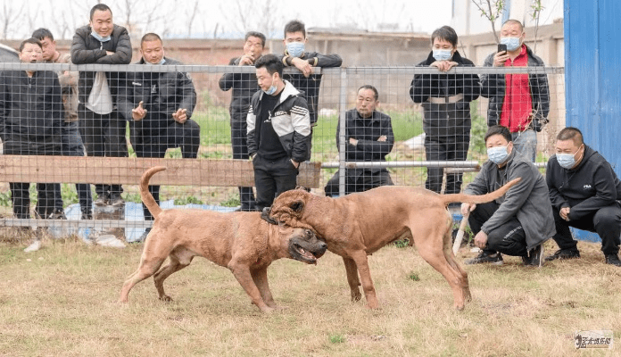 博古通今 第3页