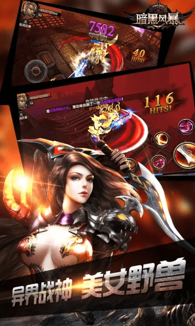 暗黑风暴单机版同下载官方版谷歌浏览器,决策资料解释定义_特供款_v5.267