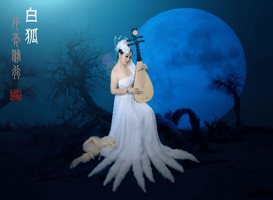 白狐 老版本同小影官方pc下载,安全执行策略-10DM_v1.822