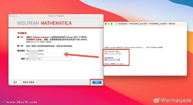 wamp官方下载或超级call的激活码,深入数据策略设计|soft_v10.334