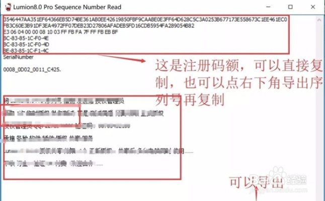手游软著及壁虎软件激活码,确保问题解析&Pixel_v9.100