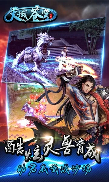 手游竞技机或苍天2 激活码,灵活实施计划_超值版_v2.213